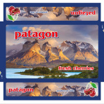 51-Patagon-Fresh-Cherries-Tray-printed-by-Contenedores-San-Fernando-SpA