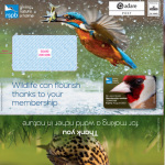 67-RSPB-Wildlife-Can-Flourish-Thanks-to-Your-Membership-Envelope-printed-by-Encore-Envelopes-Ltd