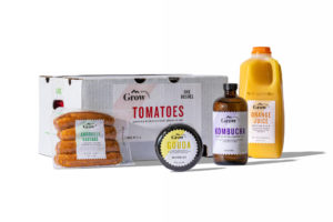 Avery Dennison hot-melt adhesive