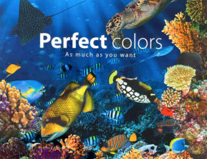 DuPont Cyrel Solutions 2022 FTA Technical Innovation Award Perfect Colors