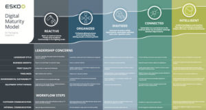 Esko Fernandez Pic 8